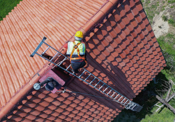 Roof Moss and Algae Removal in Archie, MO